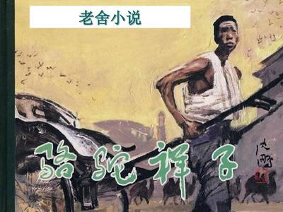 深入了解 红杏视永久入口
